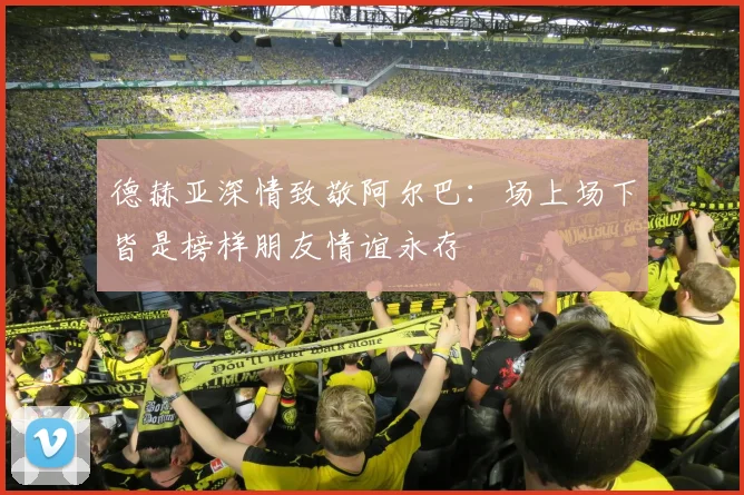 德赫亚深情致敬阿尔巴：场上场下皆是榜样朋友情谊永存