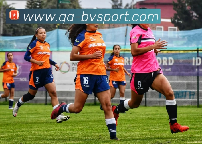 宝威体育平台生态图