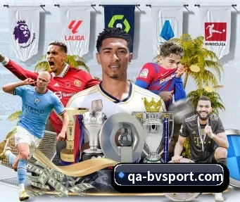 宝威体育 APP(BOWWAYSPORTS)